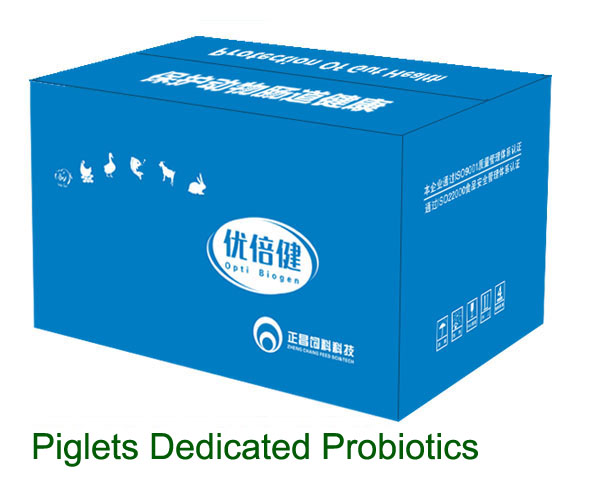 Probiotics of Opti Biogen 3126