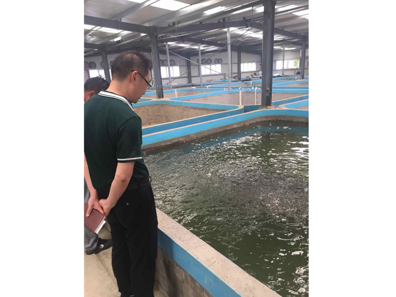 服务照片