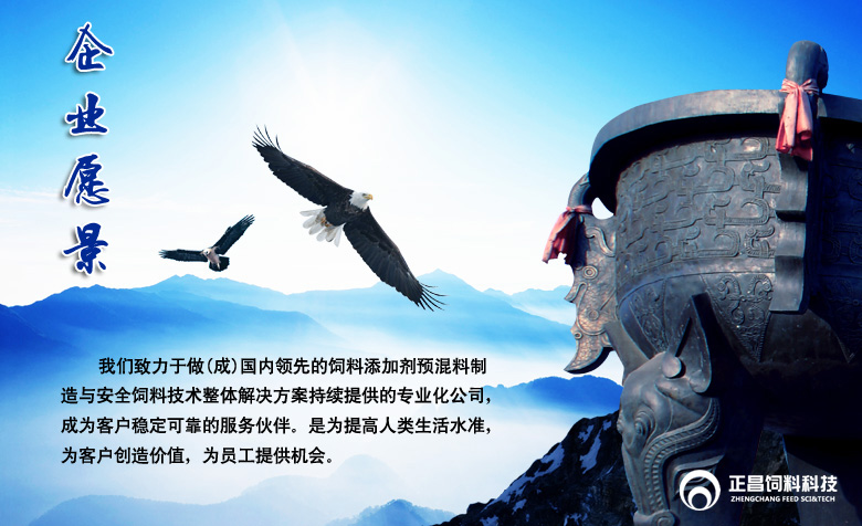 企业愿景.jpg