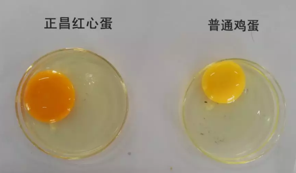 QQ截图20181115094806.png QQ截图20181115094806.png