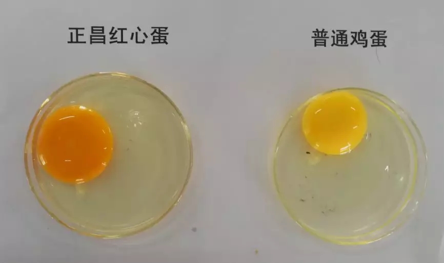 640.webp.jpg 640.webp.jpg
