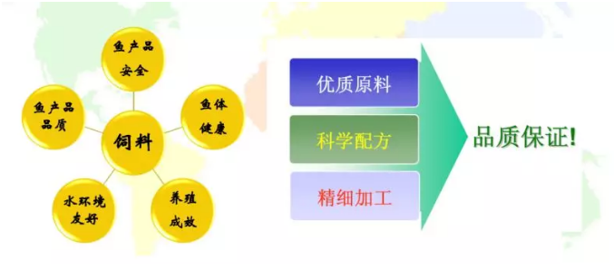 QQ截图20190112082245.png