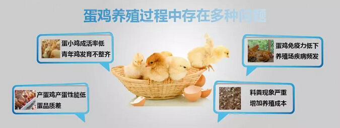 QQ截图20190425164917.jpg QQ截图20190425164917.jpg