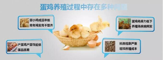 QQ截图20210805081717.jpg QQ截图20210805081717.jpg