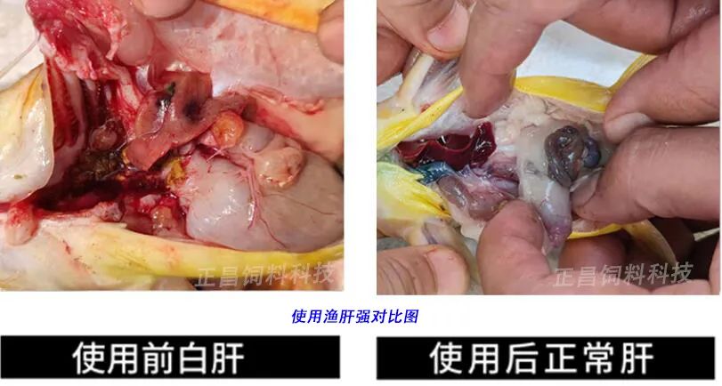 微信图片_20220823094247.jpg