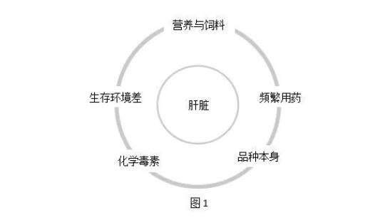 QQ截图20230526104754.jpg